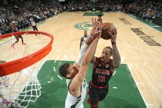 阿德利虽履 阿德利虽履